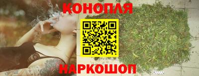 трава Кингисепп