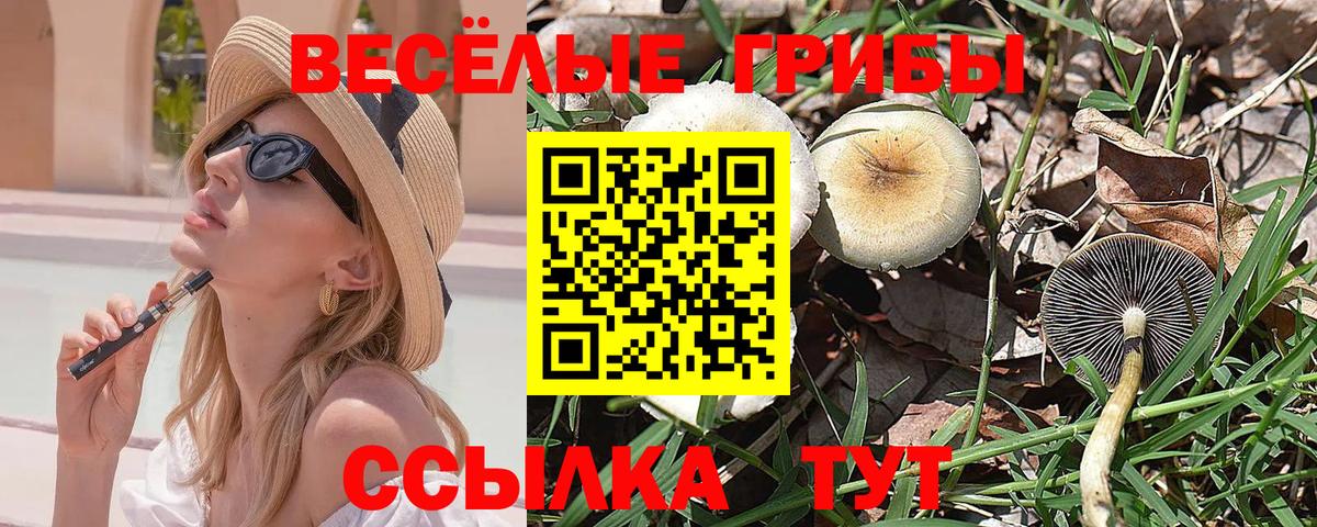 ГАШ  МДМА  Меф   Вход с VPN  A-PVP СОЛЬ кристаллы  ГАШ  Кумертау  COCAIN 