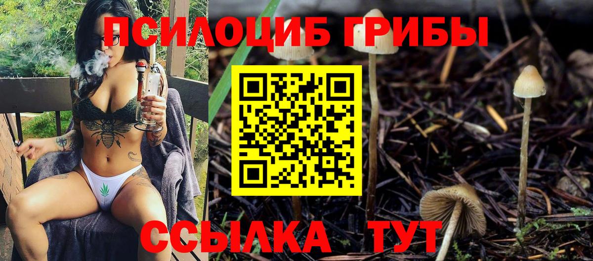 Псилоцибиновые грибы мицелий  Вход с VPN  Галлюциногенные грибы ЛСД  Кумертау 